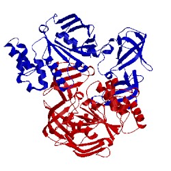 Image of CATH 1q1e