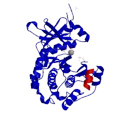 Image of CATH 1q24