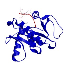 Image of CATH 1q2c