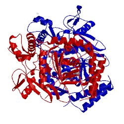 Image of CATH 1q2o