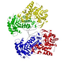 Image of CATH 1q2s