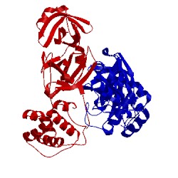 Image of CATH 1q2w