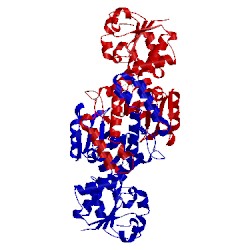 Image of CATH 1q2x