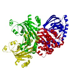 Image of CATH 1q3h