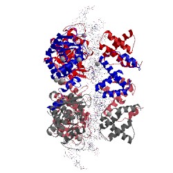 Image of CATH 1q3v