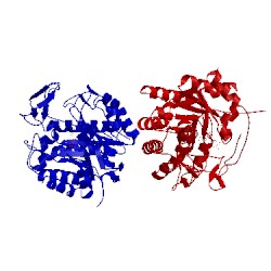 Image of CATH 1q45