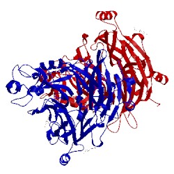 Image of CATH 1q47