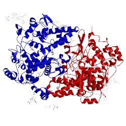 Image of CATH 1q4g