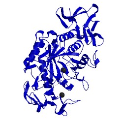 Image of CATH 1q4n