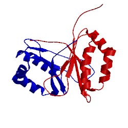 Image of CATH 1q53