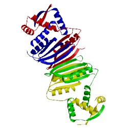 Image of CATH 1q5v