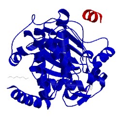 Image of CATH 1q61
