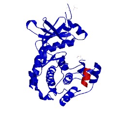 Image of CATH 1q62