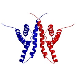 Image of CATH 1q6a