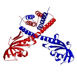 Image of CATH 1q6i