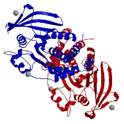 Image of CATH 1q6n