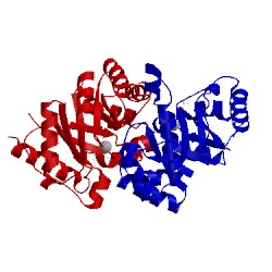 Image of CATH 1q6o