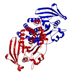 Image of CATH 1q6p