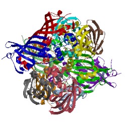 Image of CATH 1q6w