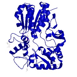 Image of CATH 1q6y