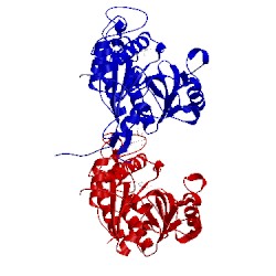 Image of CATH 1q7t