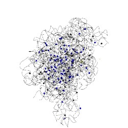 Image of CATH 1q7y