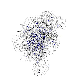 Image of CATH 1q81