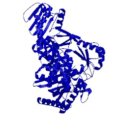 Image of CATH 1q8i