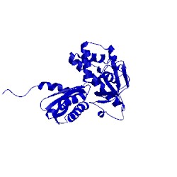 Image of CATH 1q8k
