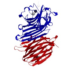Image of CATH 1q8v