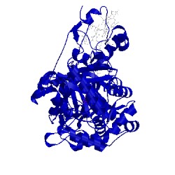 Image of CATH 1q9i