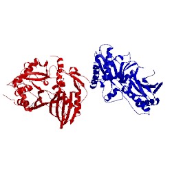 Image of CATH 1q9j