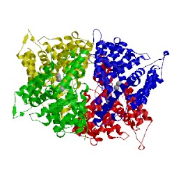 Image of CATH 1q9m