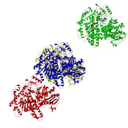 Image of CATH 1q9x