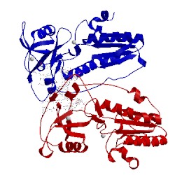 Image of CATH 1qai