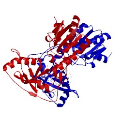 Image of CATH 1qaj