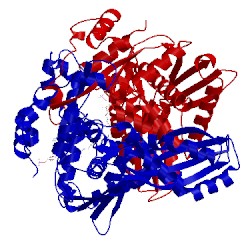 Image of CATH 1qax