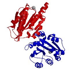 Image of CATH 1qc5