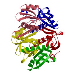 Image of CATH 1qcb