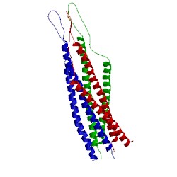 Image of CATH 1qce