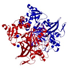 Image of CATH 1qco