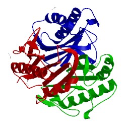 Image of CATH 1qd9