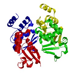 Image of CATH 1qdv