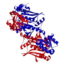 Image of CATH 1qe0