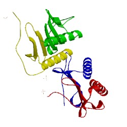 Image of CATH 1qe6