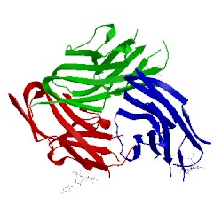 Image of CATH 1qfo