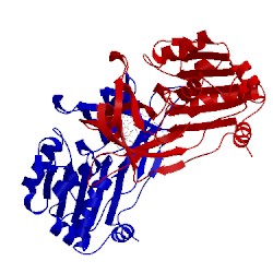 Image of CATH 1qg0