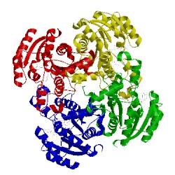 Image of CATH 1qg6