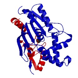 Image of CATH 1qge