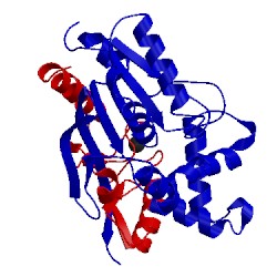 Image of CATH 1qge